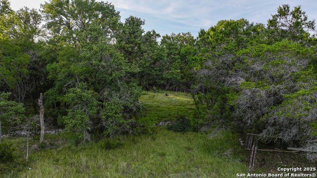 543 Narrows, Blanco, Texas image 33