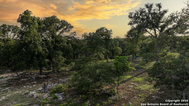 543 Narrows, Blanco, Texas image 35