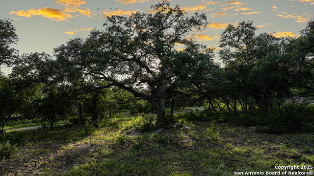 543 Narrows, Blanco, Texas image 36