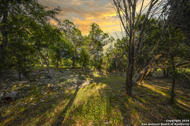 543 Narrows, Blanco, Texas image 38