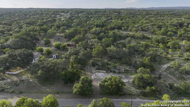 543 Narrows, Blanco, Texas image 4