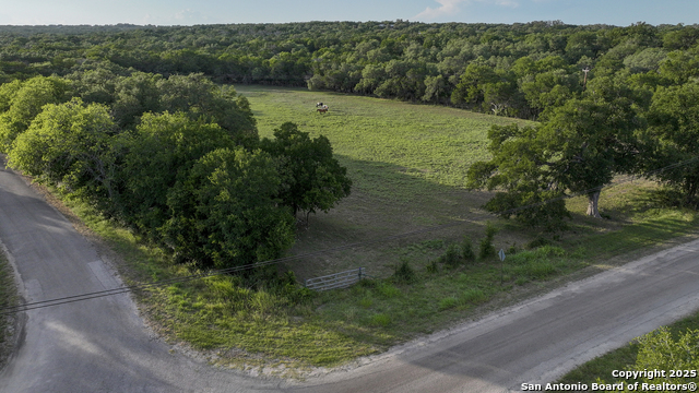 543 Narrows, Blanco, Texas image 5