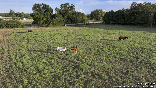 543 Narrows, Blanco, Texas image 7
