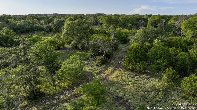 543 Narrows, Blanco, Texas image 8