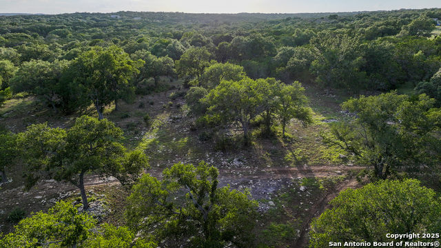 543 Narrows, Blanco, Texas image 9