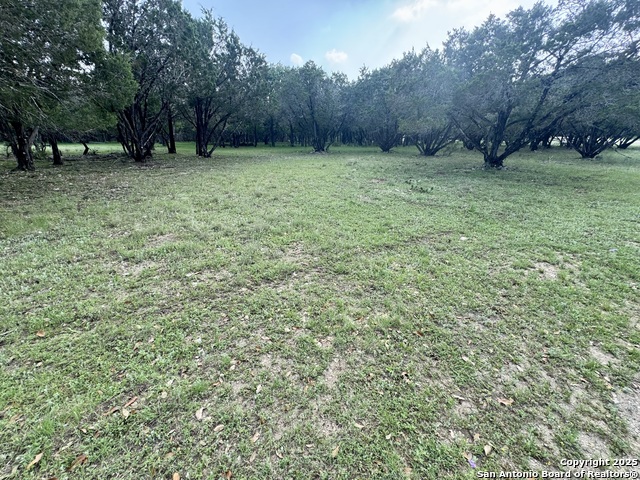 1160 Whispering Water, Spring Branch, Texas image 1