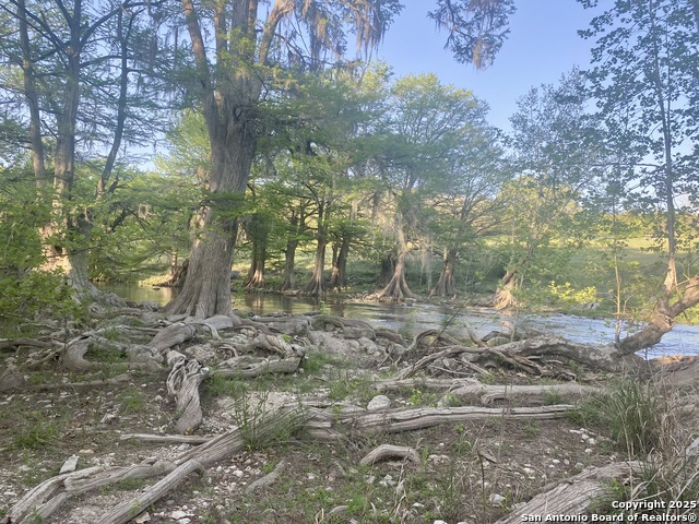 1160 Whispering Water, Spring Branch, Texas image 10