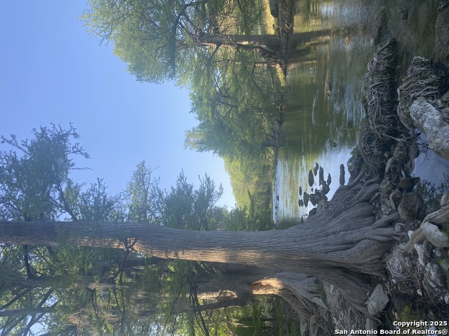 1160 Whispering Water, Spring Branch, Texas image 11
