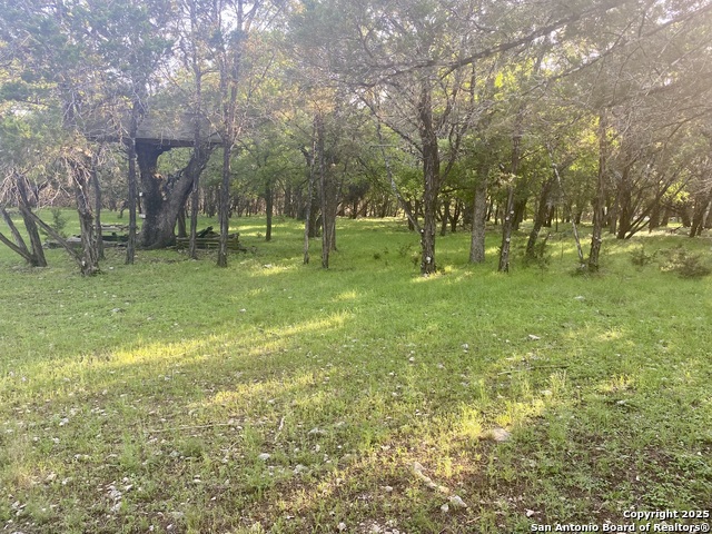 1160 Whispering Water, Spring Branch, Texas image 2