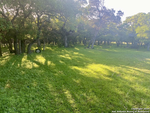 1160 Whispering Water, Spring Branch, Texas image 3