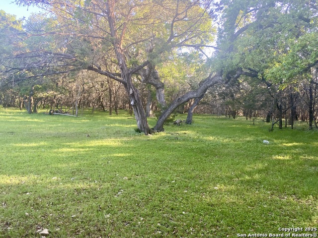 1160 Whispering Water, Spring Branch, Texas image 5