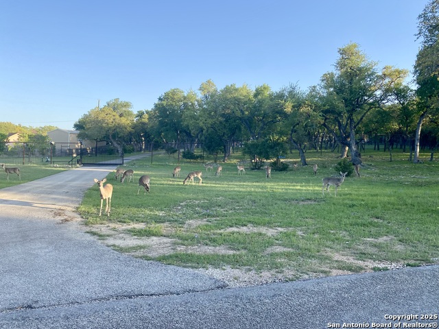 1160 Whispering Water, Spring Branch, Texas image 6