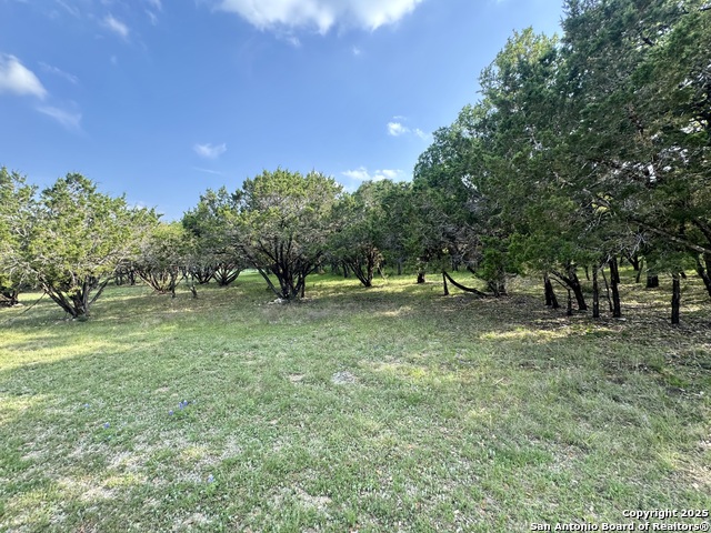 1160 Whispering Water, Spring Branch, Texas image 7