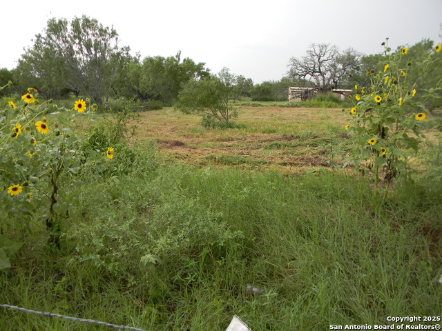 459 Cecilia, Pleasanton, Texas image 1