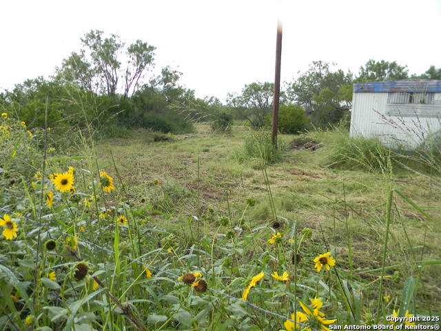 459 Cecilia, Pleasanton, Texas image 2