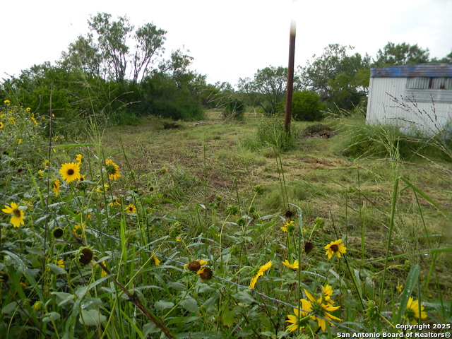 459 Cecilia, Pleasanton, Texas image 3