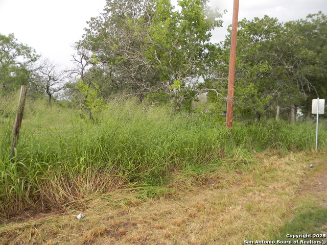 459 Cecilia, Pleasanton, Texas image 4
