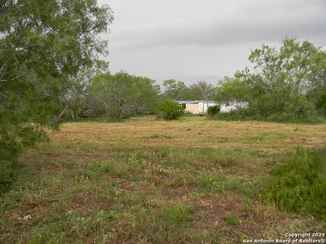 459 Cecilia, Pleasanton, Texas image 5