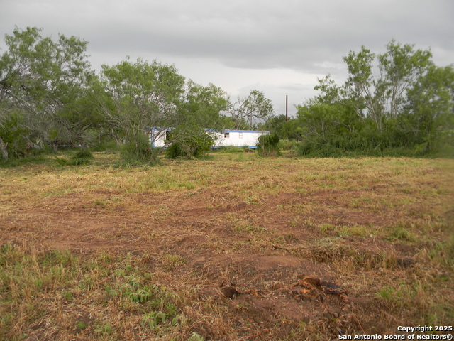 459 Cecilia, Pleasanton, Texas image 6