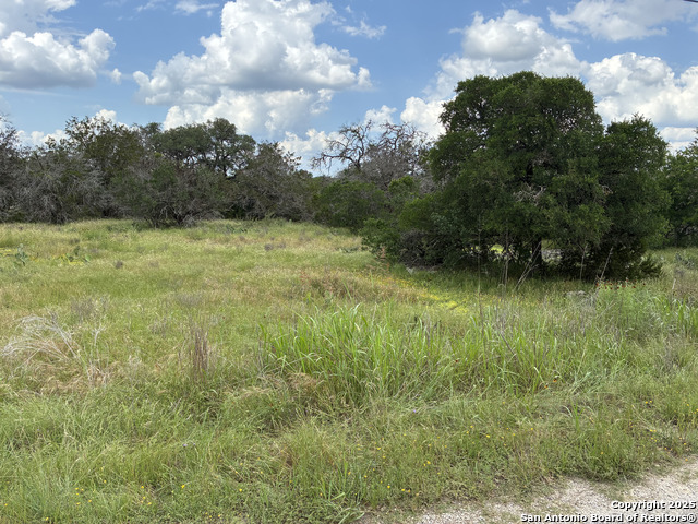 187 Bluff View, Spring Branch, Texas image 1