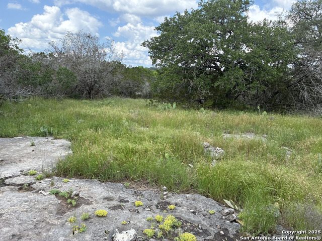 187 Bluff View, Spring Branch, Texas image 3