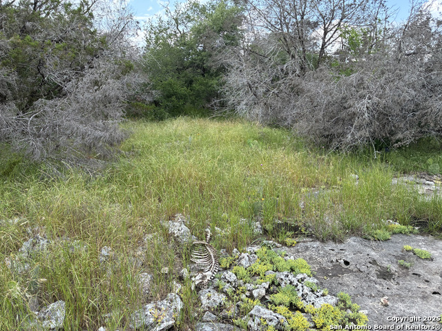187 Bluff View, Spring Branch, Texas image 4