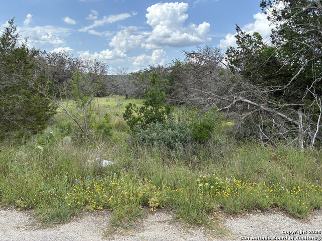 187 Bluff View, Spring Branch, Texas image 5