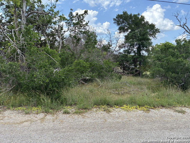 187 Bluff View, Spring Branch, Texas image 6