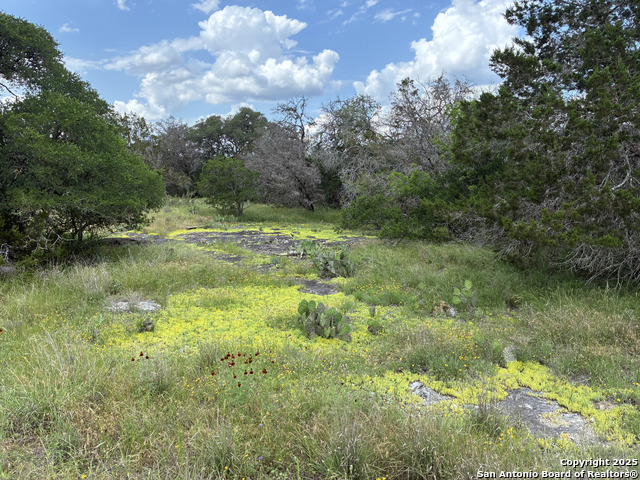187 Bluff View, Spring Branch, Texas image 7