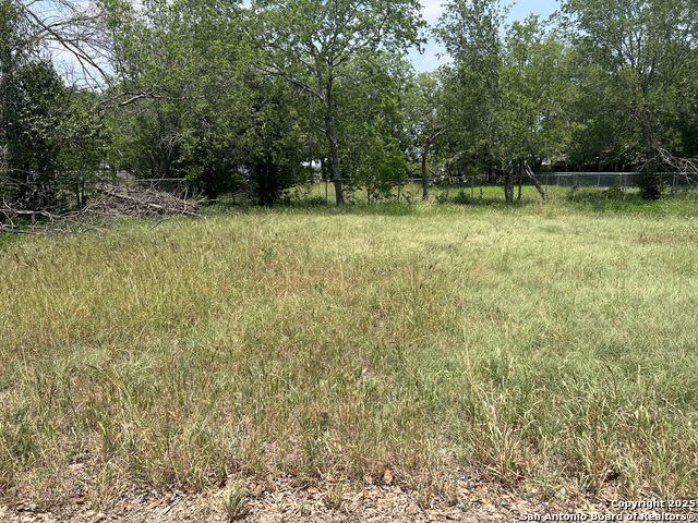 217 Avenue B, Converse, Texas image 3