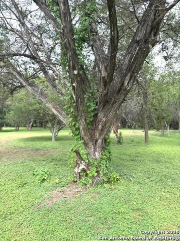 2445 Broad Oak, Bandera, Texas image 5