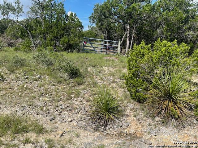 280 Geronimo Creek Rd, Helotes, Texas image 1