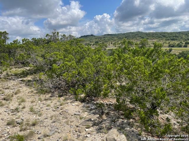 280 Geronimo Creek Rd, Helotes, Texas image 10