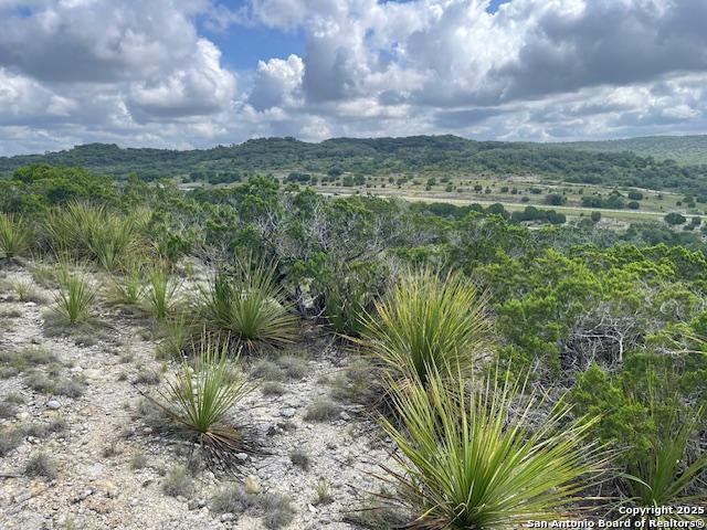 280 Geronimo Creek Rd, Helotes, Texas image 11