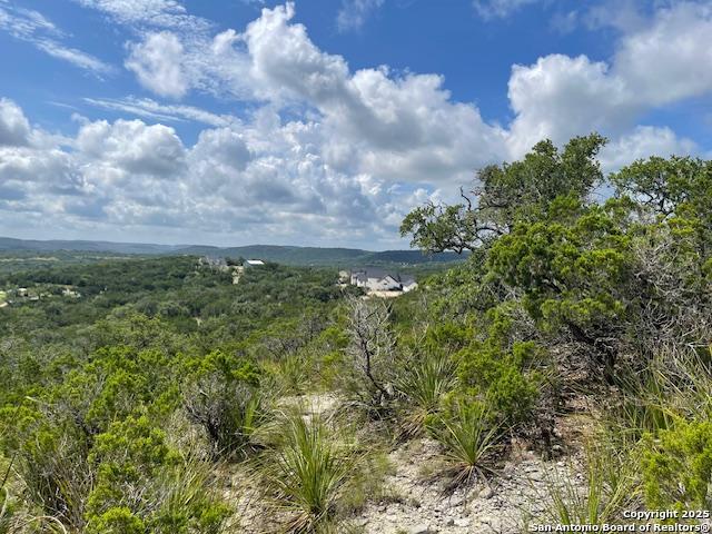 280 Geronimo Creek Rd, Helotes, Texas image 13