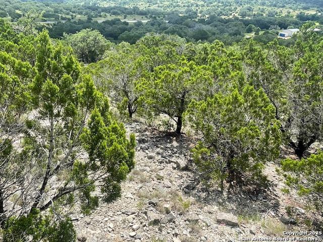 280 Geronimo Creek Rd, Helotes, Texas image 16