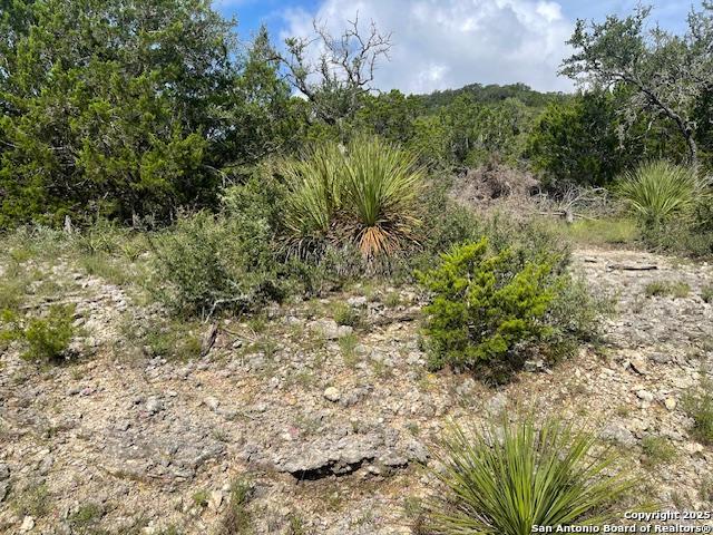 280 Geronimo Creek Rd, Helotes, Texas image 2