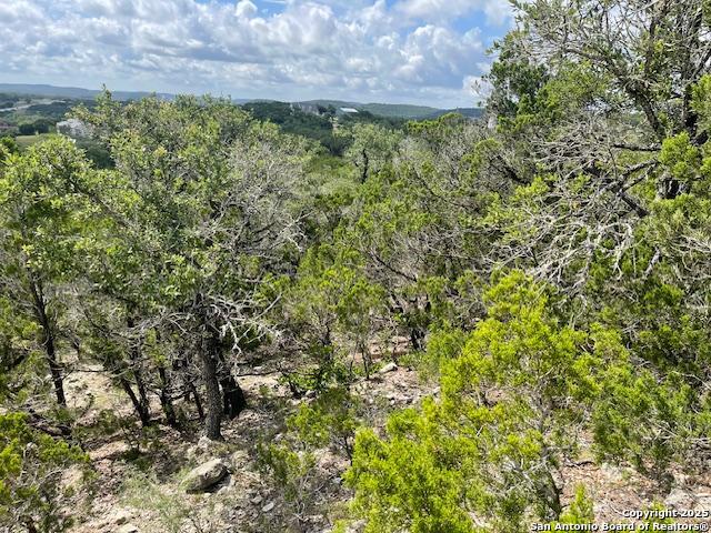 280 Geronimo Creek Rd, Helotes, Texas image 20