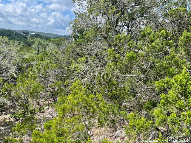 280 Geronimo Creek Rd, Helotes, Texas image 21