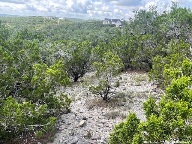 280 Geronimo Creek Rd, Helotes, Texas image 22