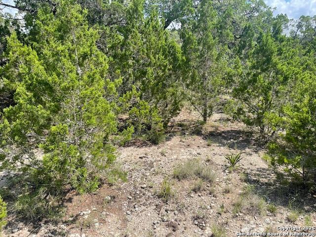 280 Geronimo Creek Rd, Helotes, Texas image 23