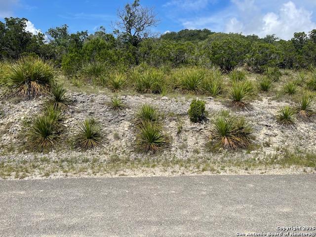 280 Geronimo Creek Rd, Helotes, Texas image 3