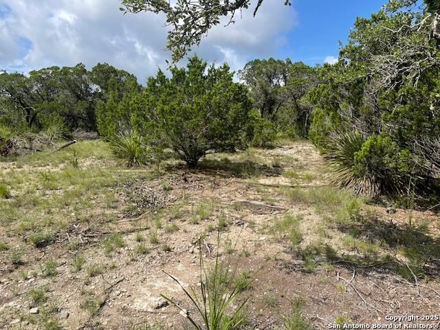280 Geronimo Creek Rd, Helotes, Texas image 4