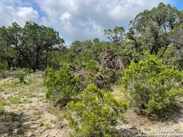 280 Geronimo Creek Rd, Helotes, Texas image 5