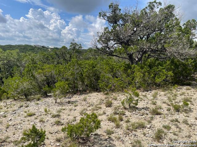 280 Geronimo Creek Rd, Helotes, Texas image 6