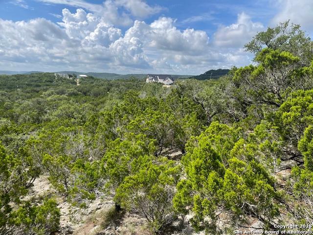 280 Geronimo Creek Rd, Helotes, Texas image 7