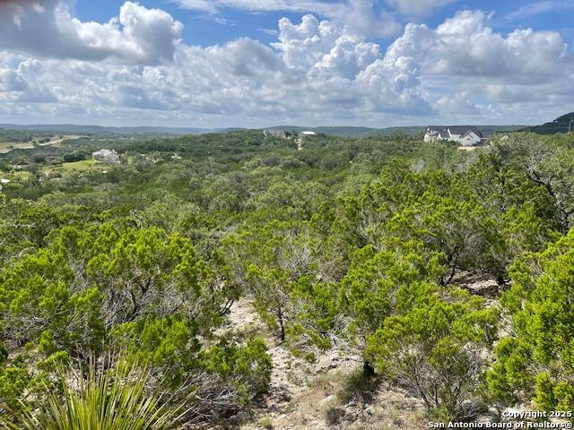 280 Geronimo Creek Rd, Helotes, Texas image 8