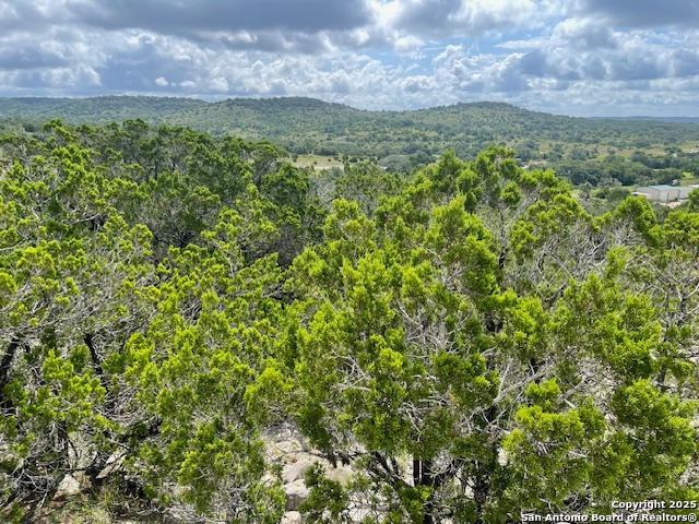 280 Geronimo Creek Rd, Helotes, Texas image 9