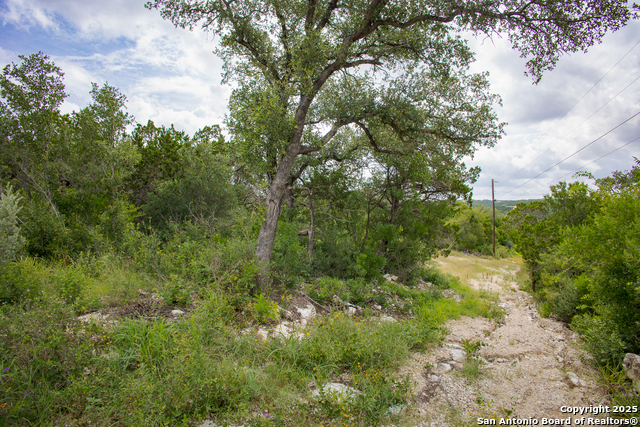 199 County Road 2733, Mico, Texas image 12