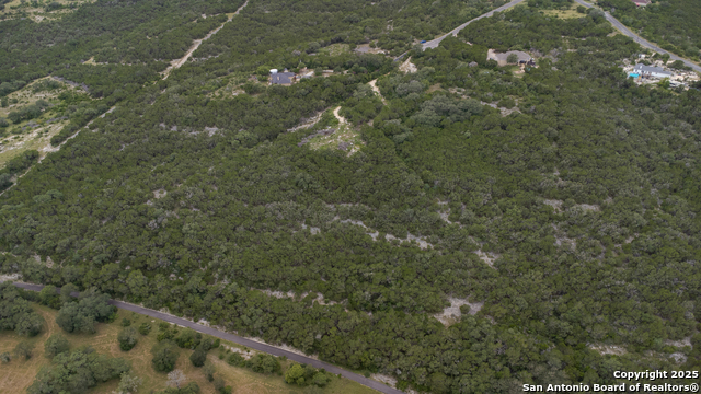 199 County Road 2733, Mico, Texas image 17